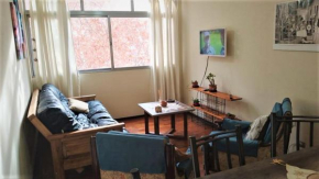 departamento centrico mendoza